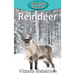 Reindeer