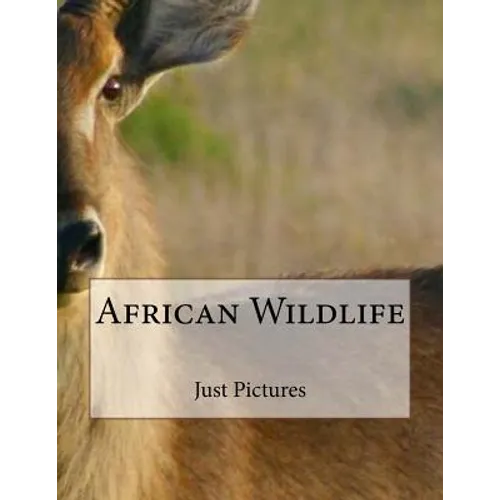 African Wildlife