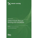 GNSS-R Earth Remote Sensing from SmallSats