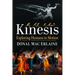 Kinesis: Exploring Humans in Motion