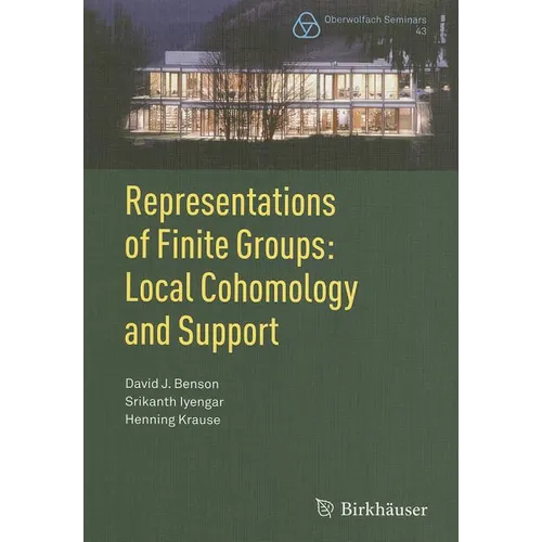Representations of Finite Groups: Local Cohomology and Support