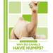 Why Do Camels Have Humps?
