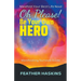 Oh Please Be Your Own Hero: Manifesting Survival Guide