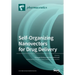 Self-Organizing Nanovectors for Drug Delivery
