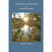 My Name Is Your Name & Other Stories
