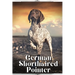 German Shorthaired Pointer: Dog breed overview and guide