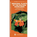 Medicinal Plants of the Eastern Woodlands: A Folding Guide to Familiar Species