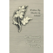 A Manual for Wood Carving