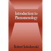 Introduction to Phenomenology