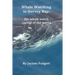 Whale Watching in Hervey Bay: the whale watch capital of the world