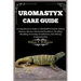 Uromastyx Care Guide: A Comprehensive Guide to Uromastyx health, Habitat Mastery, Species, Nutritional Excellence, Breeding, Shedding, Groom