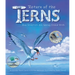 Return of the Terns: How Scientists Are Saving Island Birds