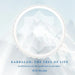 Kabbalah: The Tree of Life