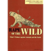 Rape of the Wild: Man S Violence Against Animals and the Earth