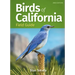 Birds of California Field Guide