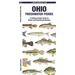 Ohio Freshwater Fishes: A Folding Pocket Guide to Native and Introduced Species