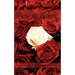 Rose in Bloom