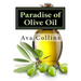 Paradise of Olive Oil: Natural and Easy tips with Olive oil to regain your beauty charms of your Hair, Skin and Nails