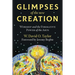 Glimpses of the New Creation: Worship and the Formative Power of the Arts