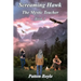 Screaming Hawk: The Mystic Teacher Book 3