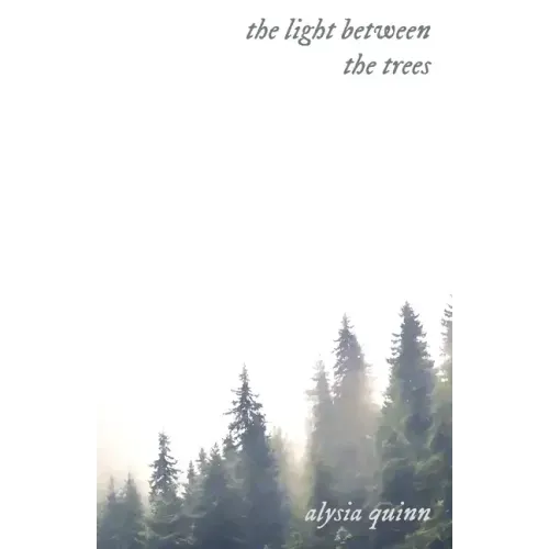 The light between the trees