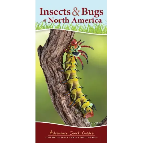 Insects & Bugs of North America: Your Way to Easily Identify Insects & Bugs