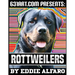 Rottweilers: Interesting Facts About Rottweilers