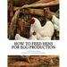 How To Feed Hens For Egg Production