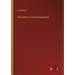 The Violin: A Concise Exposition