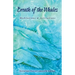 Breath of the Whales: Meditations & Activations