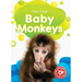 Baby Monkeys