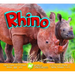 Rhino