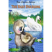 The Ugly Duckling