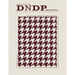 DNDP Quarterly: Issue 01