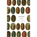 Chiton & Other Creatures