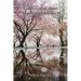 Collection of Short Stories and Poems II