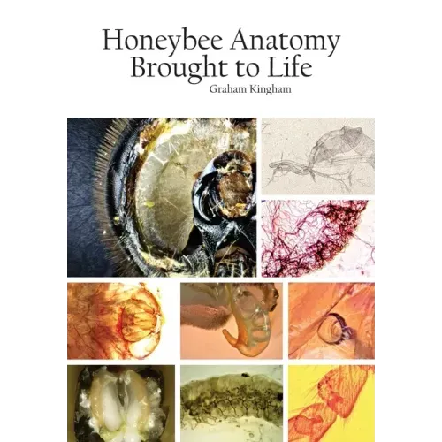 Honeybee Anatomy Brought to Life
