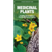 Medicinal Plants: An Introduction to Familiar North American Species