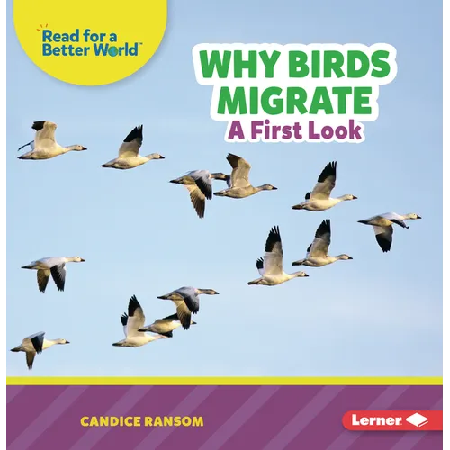Why Birds Migrate: A First Look