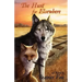 The Hunt for Elsewhere