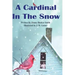 A Cardinal in the Snow