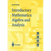 Introductory Mathematics: Algebra and Analysis