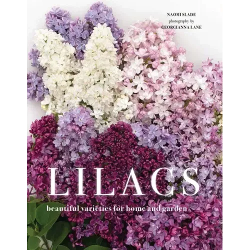 Lilacs: Beautiful Varieties for Home and Garden