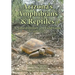 Arizona's Amphibians & Reptiles: A Natural History and Field Guide