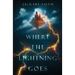 Where the Lightning Goes