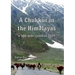 A Chukkur in the Himalayas