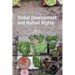 Global Development and Human Rights: The Sustainable Development Goals and Beyond