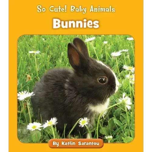 Bunnies