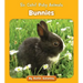 Bunnies