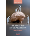 Brain Trip in Depression: MRI Journey